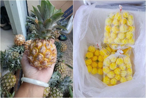Dứa mini Thái thơm lừng, ngọt lịm 100k/kg dân vẫn đổ xô “mua”
