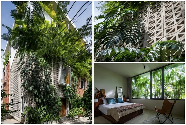 Nhà 4 tầng như ốc đảo xanh giữa lòng thành phố 