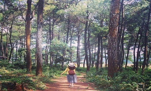 Phượt Bản Áng, “Đà Lạt thu nhỏ” tại miền Tây Bắc