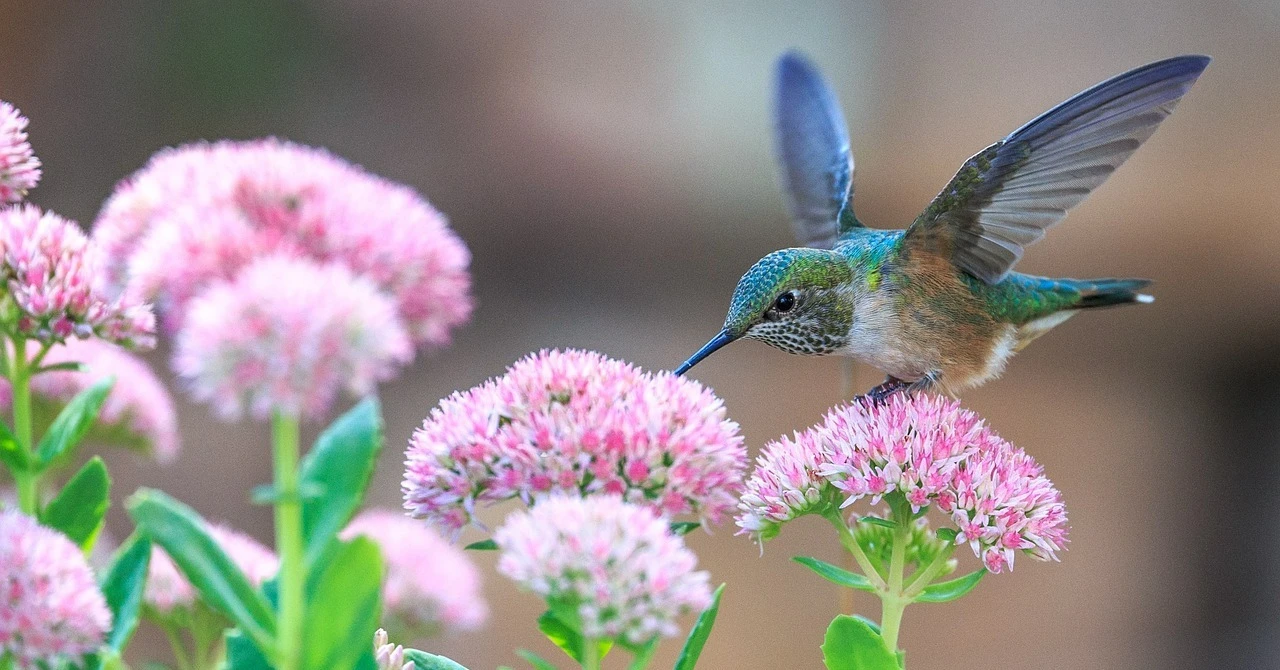 Đón tin vui suốt cả mùa xuân, 3 con giáp gặp gỡ quý nhân 