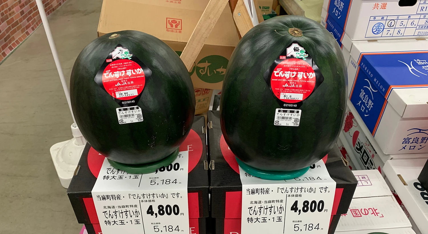 Tham quan trang trại trồng dưa hấu hiếm nhất thế giới, trăm triệu/quả