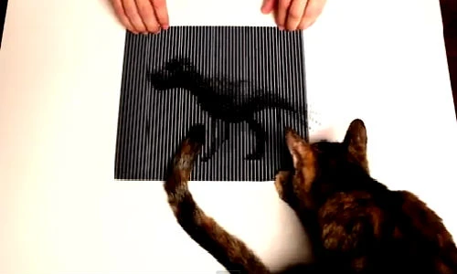 Clip khiến bạn bị ảo giác khi xem