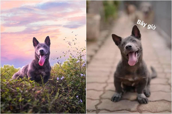 Còn ai nhận ra idol Nguyễn Văn Dúi sau màn "dậy thì thành công"