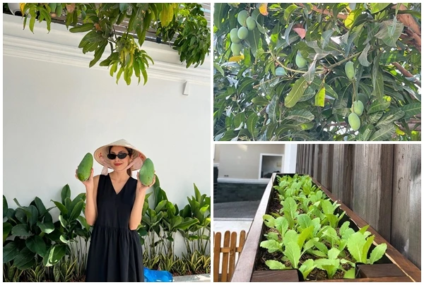 “Góc bình dân” trong dinh thự bạc tỷ của Tăng Thanh Hà 