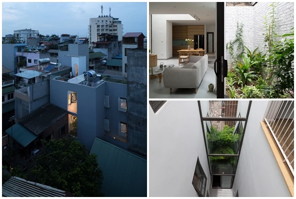 Sâu trong ngõ nhỏ, nhà Hà Nội vẫn thoáng sáng lạ thường