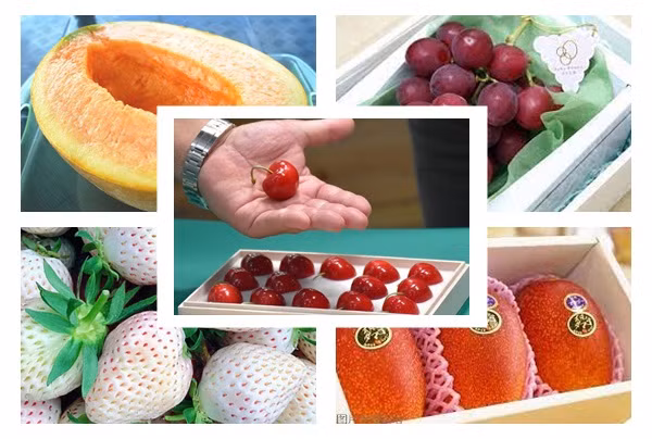 Choáng ngợp mức giá siêu đắt của 7 loại trái cây cao cấp Nhật Bản