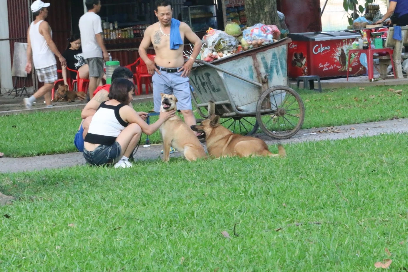 Vụ bé trai tử vong do chó cắn: CĐM phẫn nộ việc nuôi chó thả rông