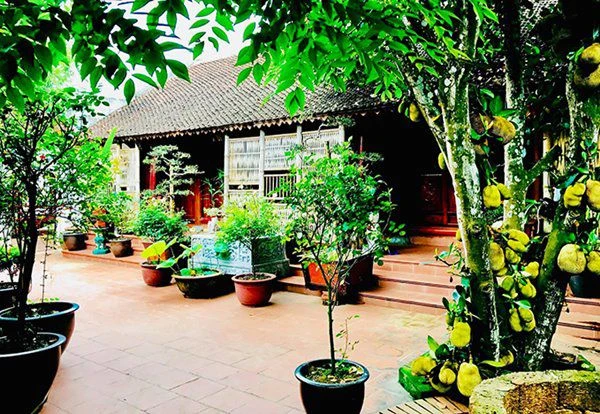 Vườn cây cối xanh mướt trong biệt phủ 1.000m2 của Vượng Râu