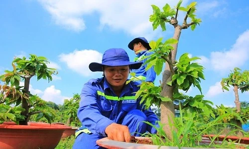 Khó tin: Từ bãi rác ô nhiễm thành vườn cây công nghệ cao