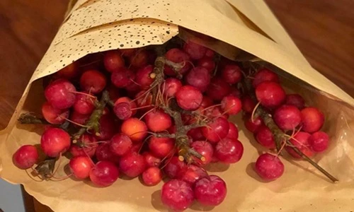 Chị em "phát sốt" với các loại hoa siêu lạ xuất hiện dịp 20/10