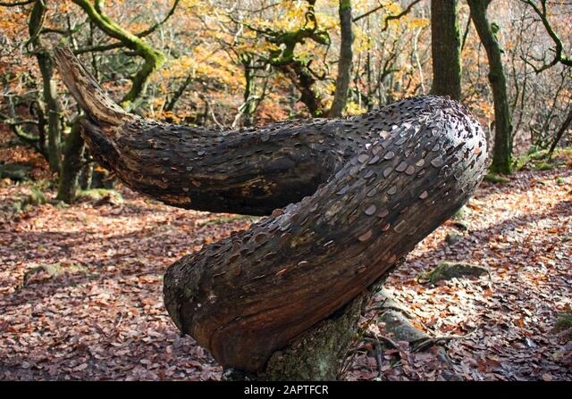 Sự thật bất ngờ đằng sau loài cây bí ẩn “đẻ ra tiền"