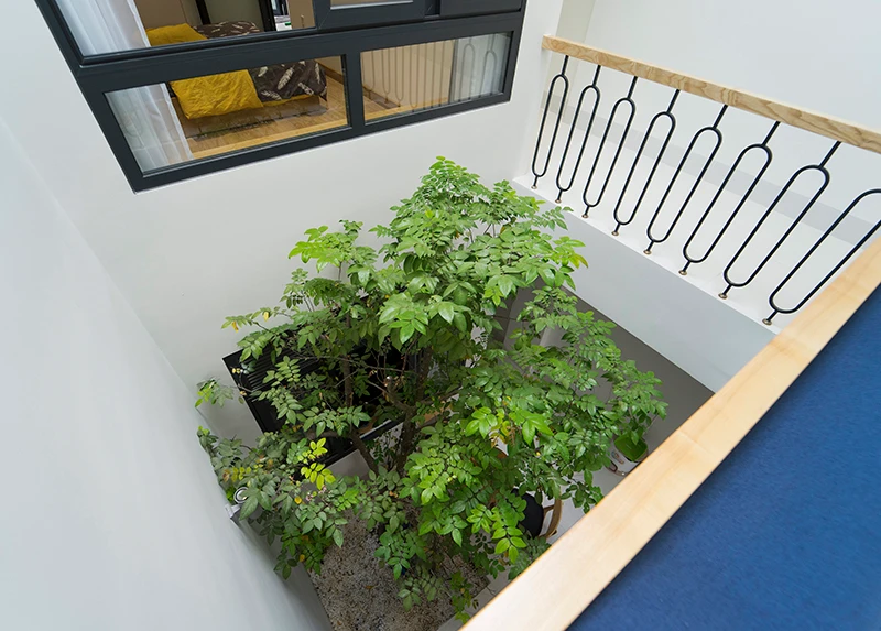 Nhà ống đan xen những khoảng “đặc - rỗng” lạ mắt ở Đồng Nai