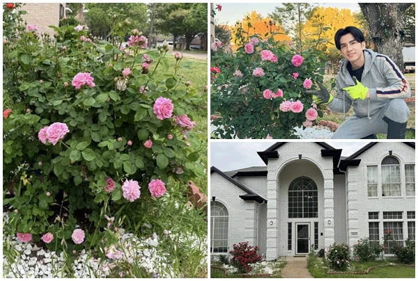 Biệt thự rực rỡ hoa hồng của ca sĩ Đan Trường hậu ly hôn 