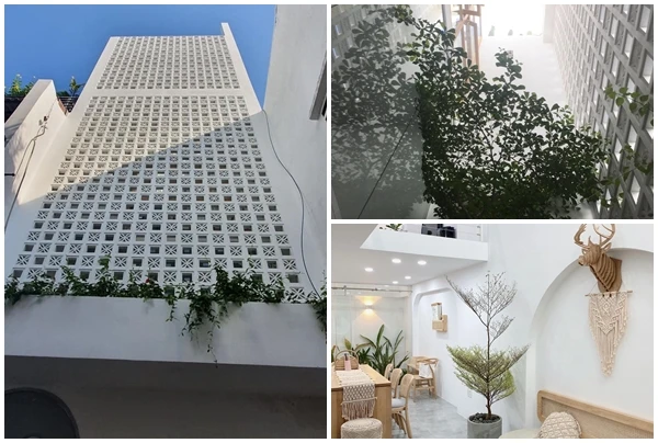 Nhà phố 38m2 trong hẻm nhỏ vẫn ngập nắng gió giữa Sài Gòn 