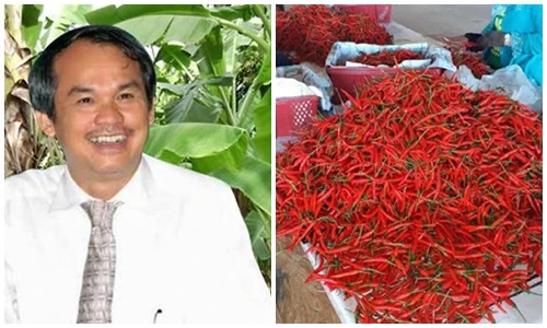 Bầu Đức lại rót thêm nghìn tỷ trồng chuối và ớt