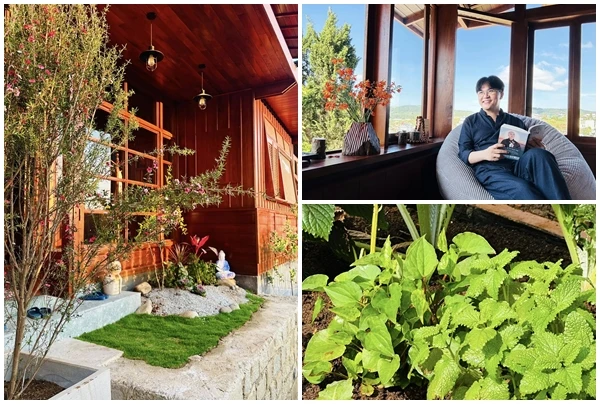 Cận cảnh nhà vườn xanh mướt của “MC giàu nhất Việt Nam“