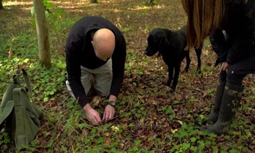 Hành trình săn lùng “kim cương đen” đắt đỏ nhất thế giới