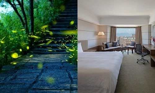 Ở những khách sạn này sẽ được ngẩn ngơ ngắm đom đóm lập lòe