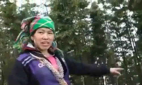 Kinh ngạc khả năng nói tiếng Anh như gió của phụ nữ H'mông