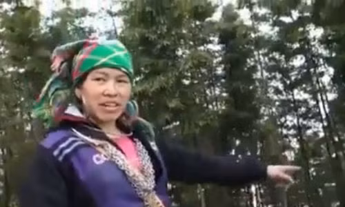 Kinh ngạc khả năng nói tiếng Anh như gió của phụ nữ H'mông