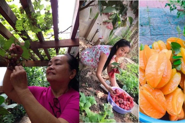 Cận cảnh nhà ở quê ngập cây trái của bố mẹ sao Việt