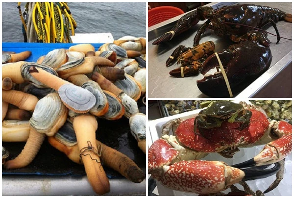 Đại gia Việt "vung tiền" thưởng thức hải sản nhập ngoại khổng lồ