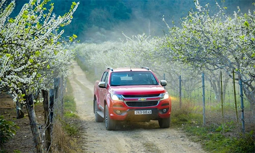 Những mẹo giúp bạn lái xe an toàn dịp Tết Kỷ Hợi 