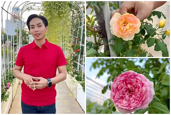 Vườn hồng ngoại “bung nở hết cỡ” trong nhà Khánh Thi - Phan Hiển 