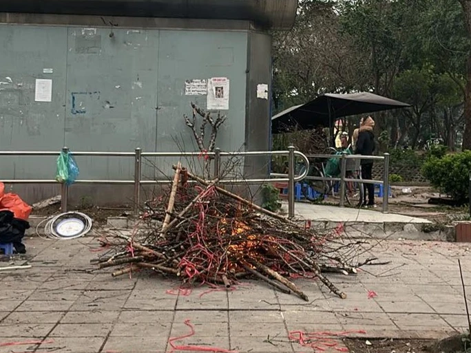 Buôn bán ế ẩm, tiểu thương biến đào thành củi khô đốt lửa