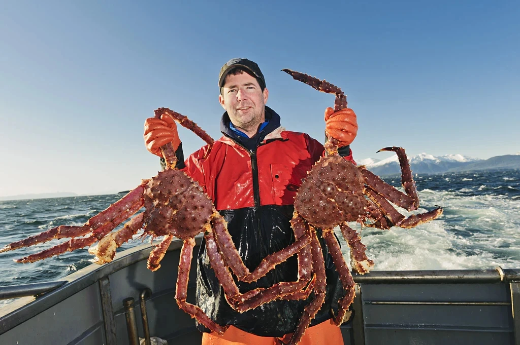 Tận mục nghề bắt cua hoàng đế kiếm 2 tỷ trong vài ngày