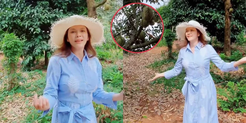 "Đột nhập" vườn trái cây rộng 1 ha của Lý Nhã Kỳ