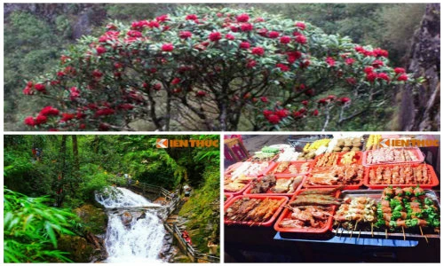 Lên Sapa vào mùa hè khám phá những điều lý thú