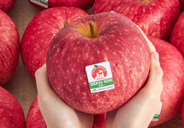 Tận thấy giống táo nửa triệu đồng/quả nhà giàu “mê như điếu đổ“