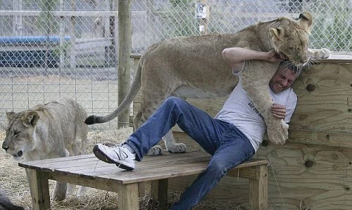 Khiếp đảm với những vật nuôi nguy hiểm nhất thế giới 