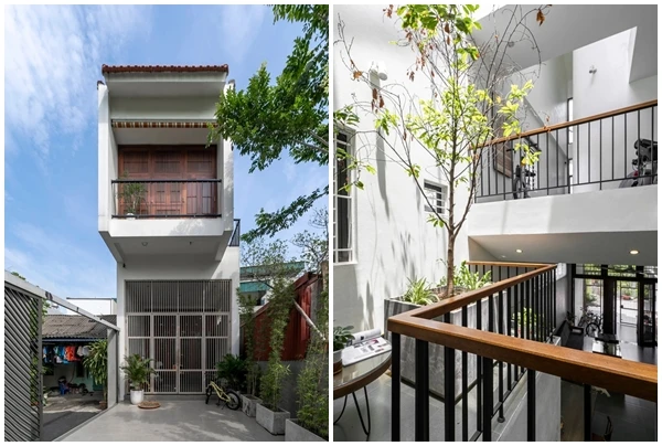 Xây trên đất méo, nhà ống vẫn ngập tràn ánh sáng và cây xanh