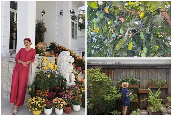 Biệt thự sân vườn ngập cây trái của Tăng Thanh Hà 