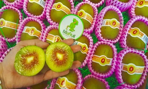 Tận mục kiwi cầu vồng 200.000 đồng/quả gây sốt thị trường Tết 2018