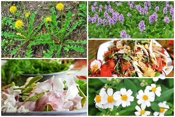 Bất ngờ 5 loại hoa ăn được ở Việt Nam, giá vỏn vẹn 0 đồng