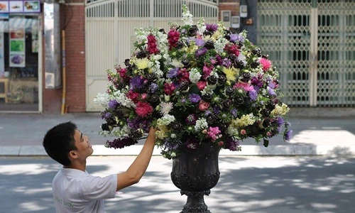 Điểm danh hoa hồng ngoại bạc triệu hút khách dịp Valentine