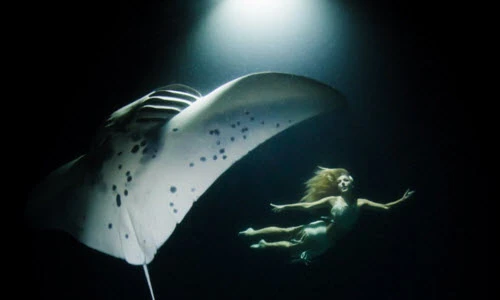 Người đẹp hóa thành tiên cá bơi cùng cá đuối khổng lồ