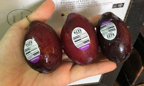 Hết mận Việt, nhà giàu mua mận ngoại 300.000 đồng/kg