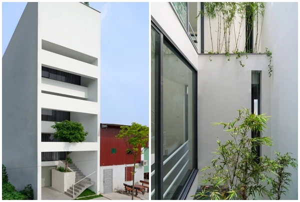 Ngỡ ngàng nhà phố mang cả thiên nhiên vào bên trong