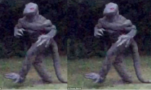 Người Thằn lằn cao hơn 2m tấn công người dân Mỹ