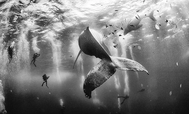 Cuộc thi ảnh du lịch National Geographic 2015