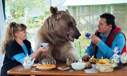 Cặp vợ chồng "nổi tiếng" vì sống cùng gấu khổng lồ