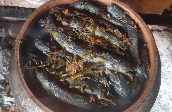 Loại cá xưa cho lợn ăn nay nổi tiếng 350.000 đồng/kg