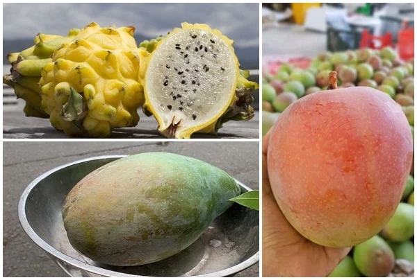 Những loại trái cây độc lạ từng làm mưa làm gió nay rớt giá "thảm"