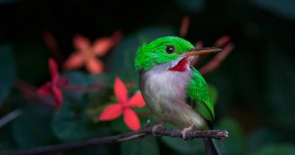 Bất kể thắng thua, 4 con giáp có thể cười lớn cuối năm 2023