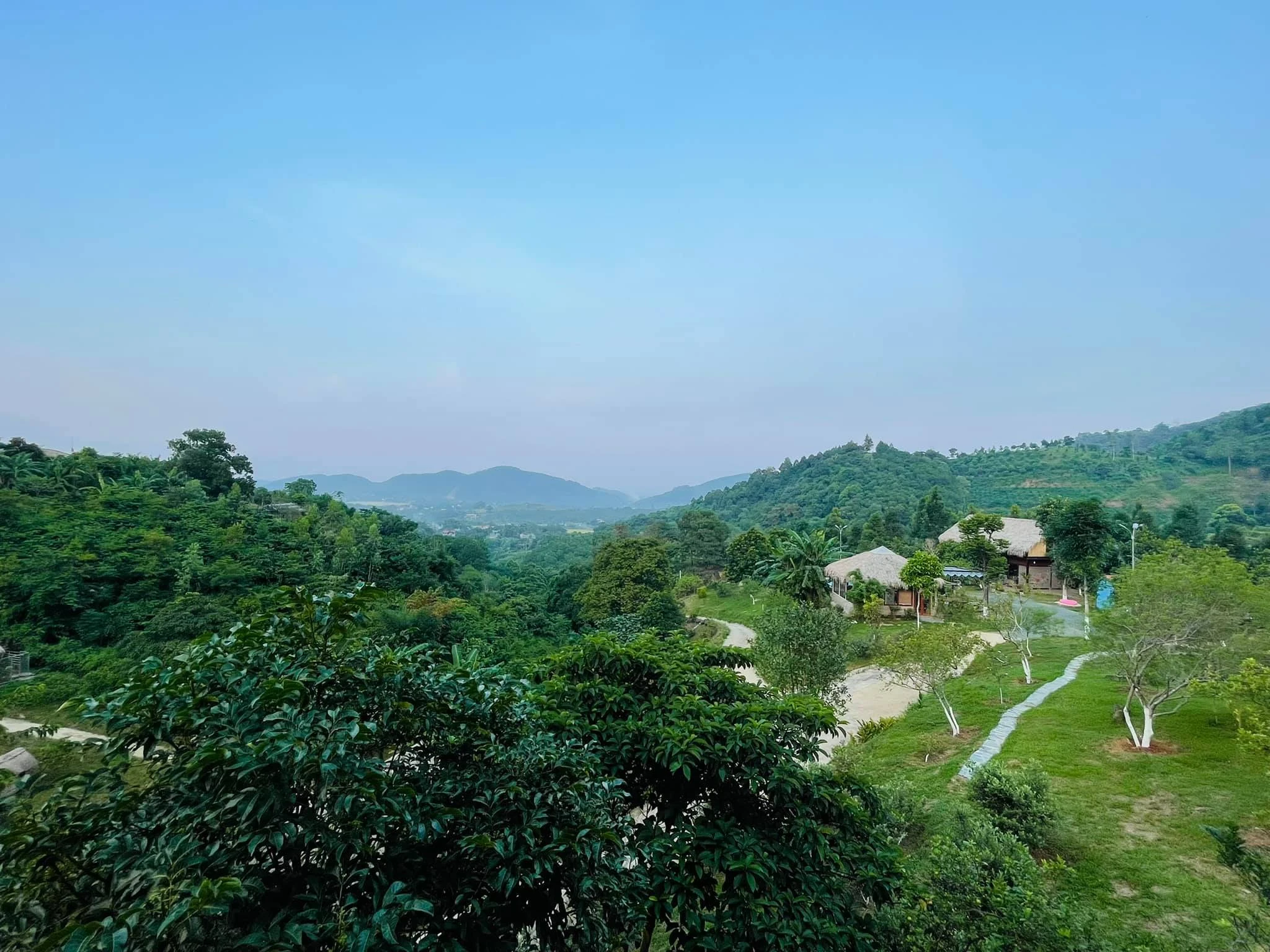 “Mỏi mắt” ngắm trang trại 10.000m2 của ca sĩ Việt Hoàn