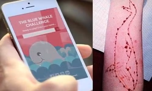 Trò chơi bệnh hoạn “Thử thách Cá voi xanh” đã lây lan tới Việt Nam